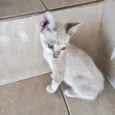 Suki bb2meses