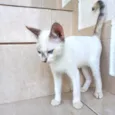 Suki bb2meses