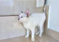 Suki bb2meses 