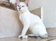 Suki bb2meses