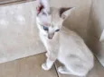 Suki bb2meses