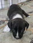 ELLIE