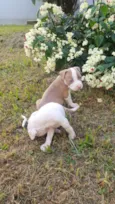 babies