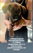 Raíza