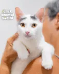 Léo