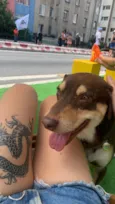 Chico Moedas