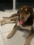 Chico Moedas