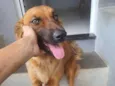 Kiara