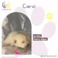 Carol