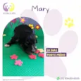 Mary