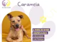 Caramela