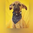 LUPITA