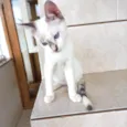 Suki bb2meses Linda
