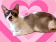 Amanda bb9meses Linda