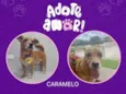 Caramelo