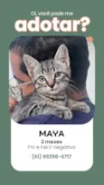 Teca e Maya