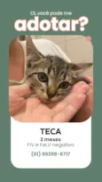 Teca e Maya