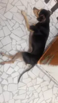 Selminha