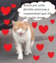 Galego