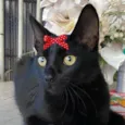 Rubi