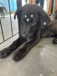 Lupita