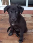 Lupita