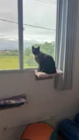 Nikolaj