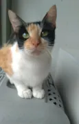Agnes