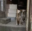 Brothers
