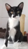 Yuki
