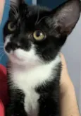 Yuki