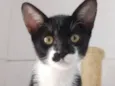 Yuki