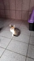 Chloe