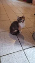 Chloe
