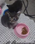 Bbzinhos abandonados