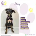Any