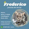 Frederico 