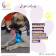Juninho