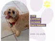 Otto 1 ano