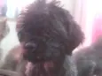 Teo