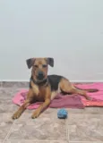 Belinha