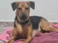 Belinha