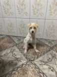 Zoe