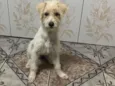 Zoe