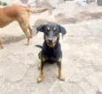 Tippy 11meses