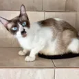 Amanda 9meses
