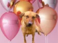 Poppy 11meses