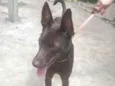 Mel 6meses Linda é muito boazinha