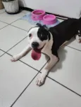 PANDORA