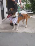 Beto